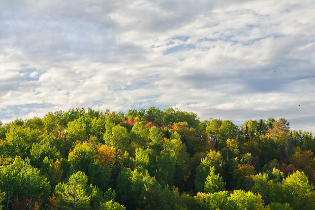 Paysage d'automne à Rimouski.