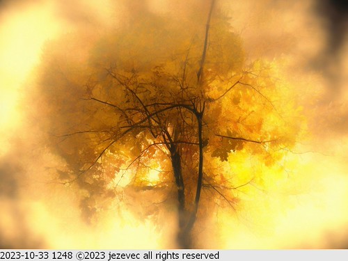 2023-10-33 1248 AI Fall & Autumn Illustration | by Jezevec40 (formerly Badger 23)