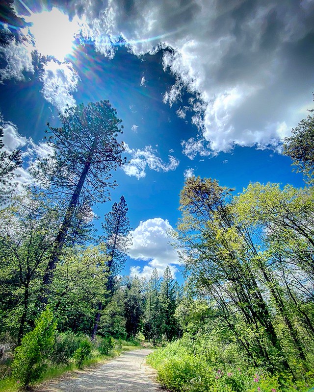 nature | Flickr