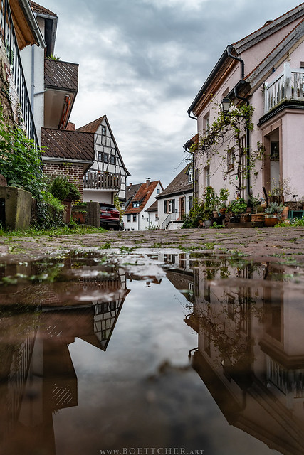 October Puddle Reflection in Dilsberg - October 2023 I