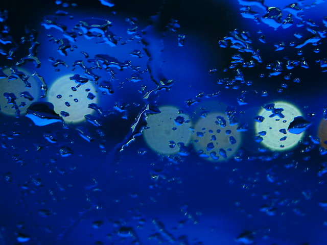 DSCN0310 ~ Lightlings in Beautiful Blue