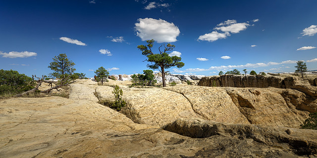 United States - New Mexico - El Morro National Monument