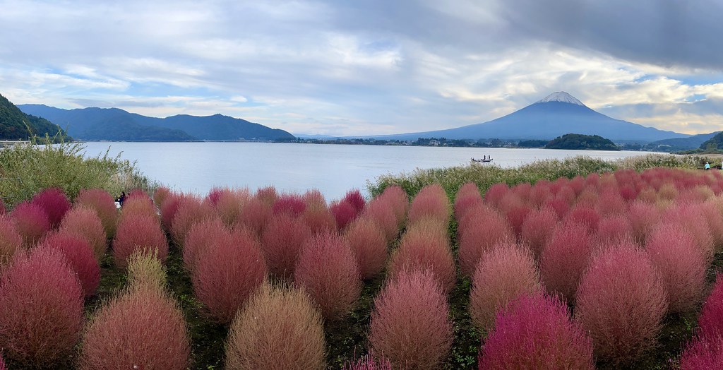 Mt Fuji