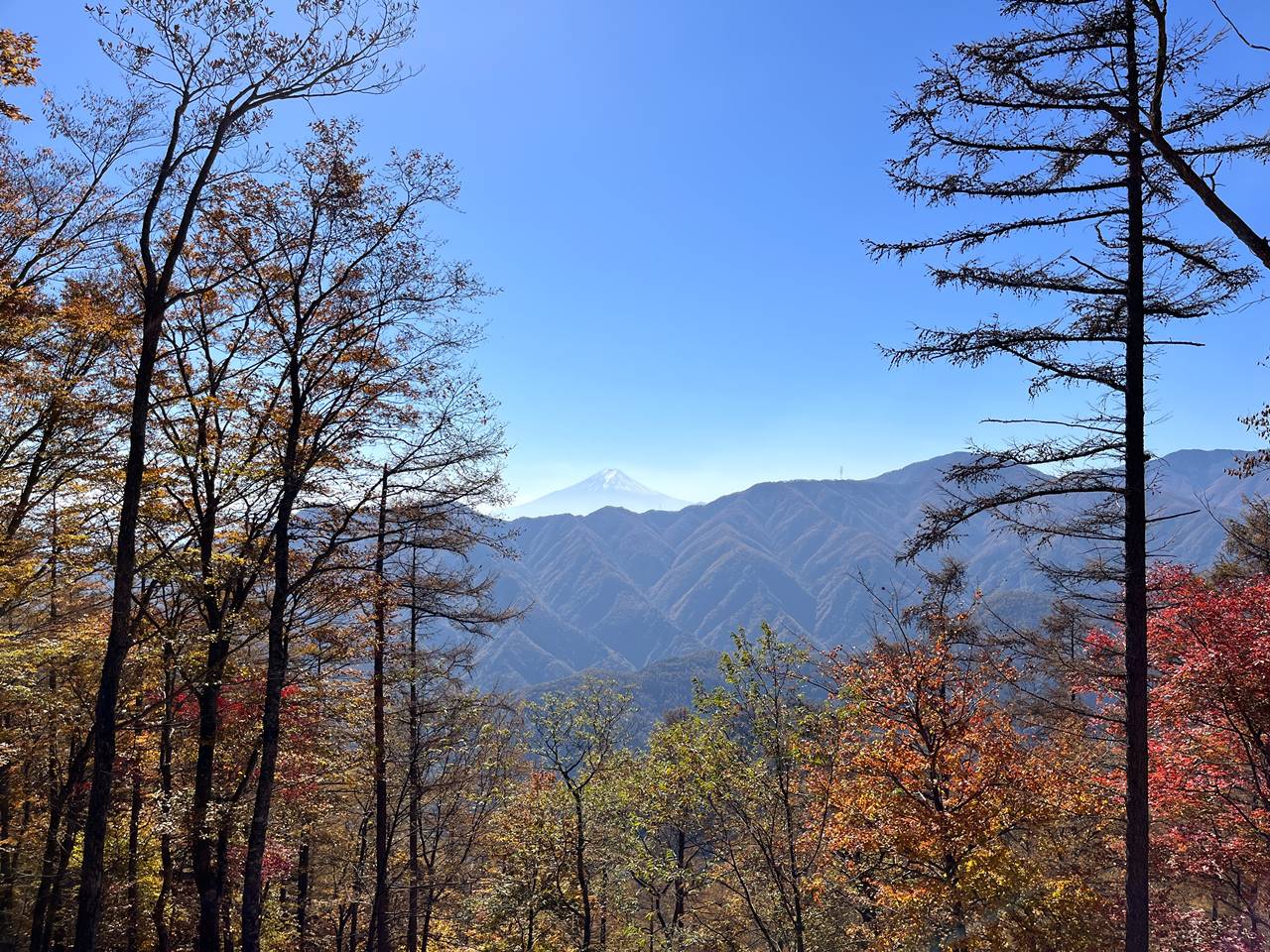 【奥多摩】鶴寝山からの富士山と紅葉