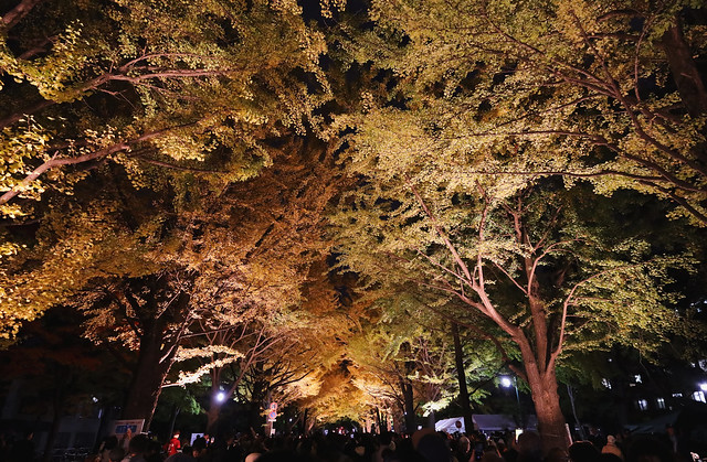 北大金葉祭 - Hokudai Konyousai 2023.
