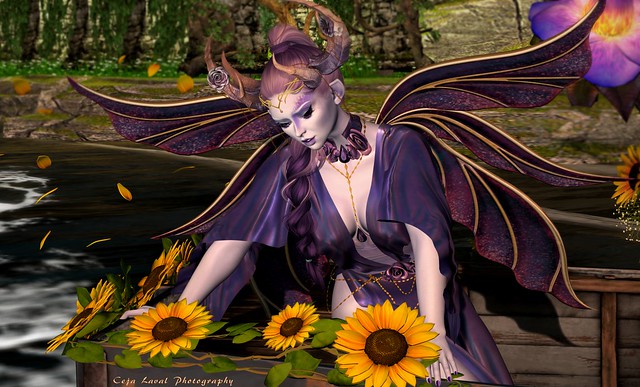 Fae, chatting with the sunflowers