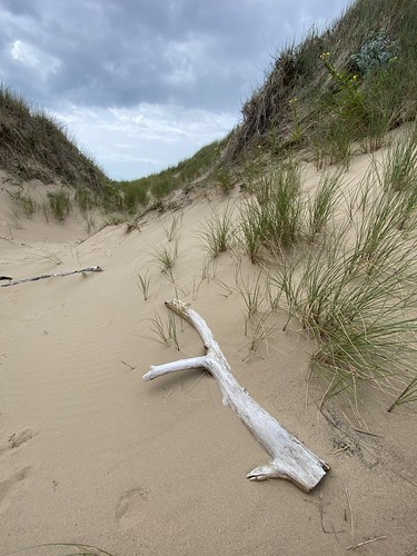 Baglan Bay Beach sand dunes | by Claire_Sambrook