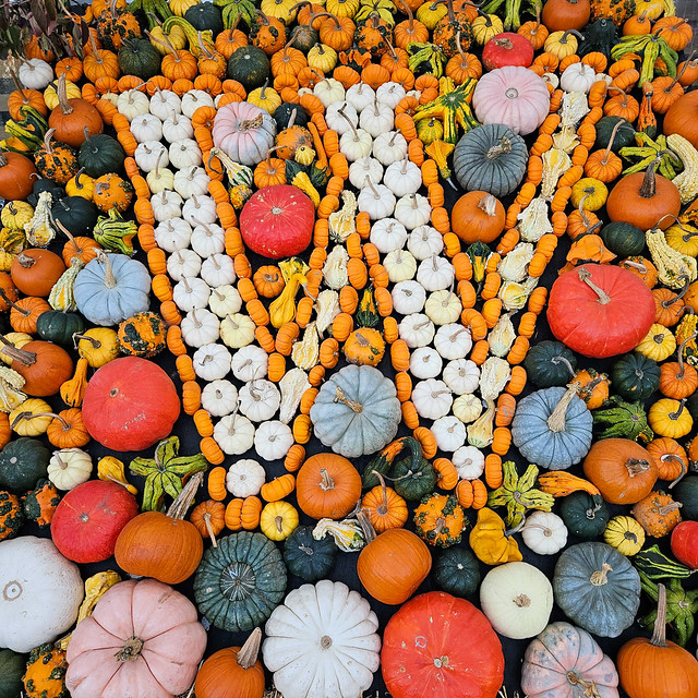 #pumpkin #display #initial #letter #W #gourd #pumpkins #nursery #puyallup #🎃
