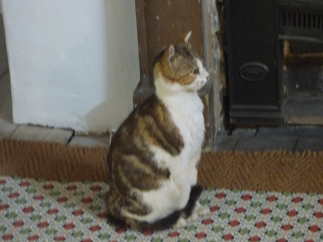 Attic Bedchamber at Plas Newydd, Llangollen - stuffed cat