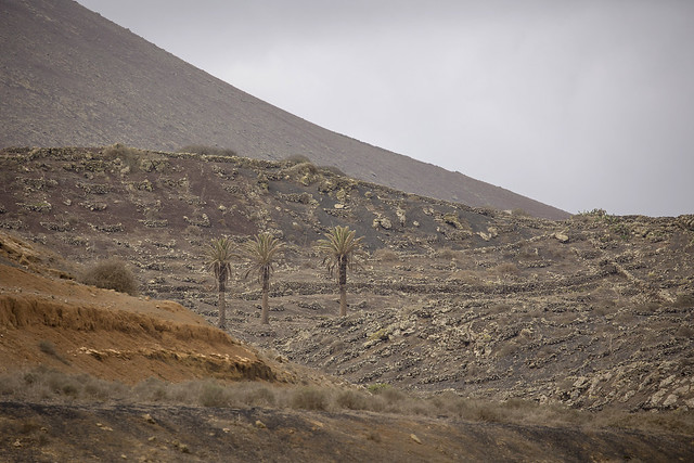 EL Jable - Lanzarote - Canarische eilanden