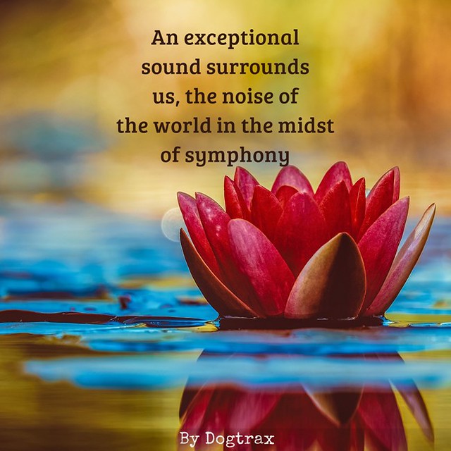 Exceptional Sounds