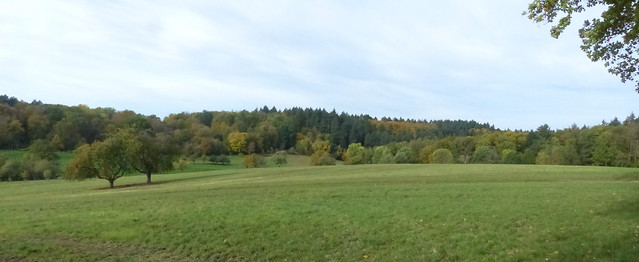 Grüne Ebene mit Herbstbäumen