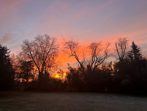 dawn november sunrise orange clouds trees readington nj whitehouse station