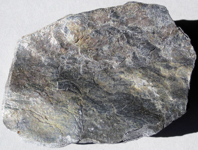 Phyllite (Woodbridge, Connecticut, USA) 1