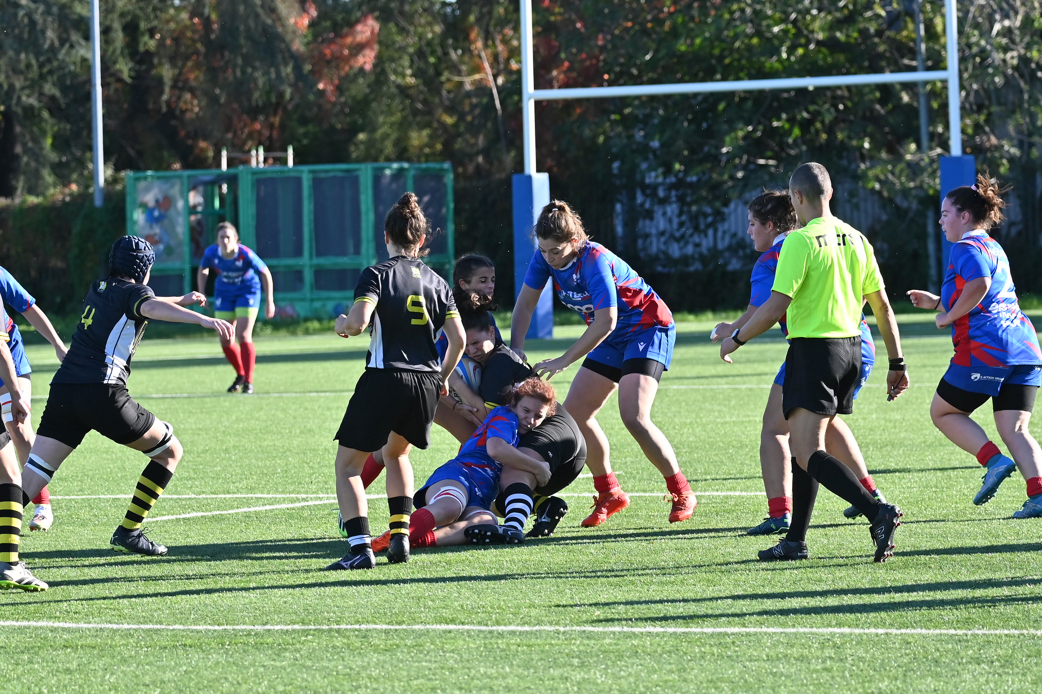 DSC_2037_20636