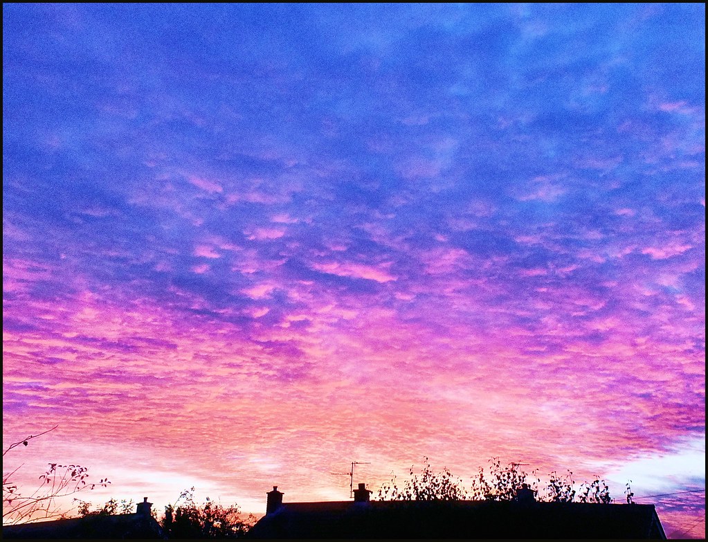 Dawn mackerel  sky