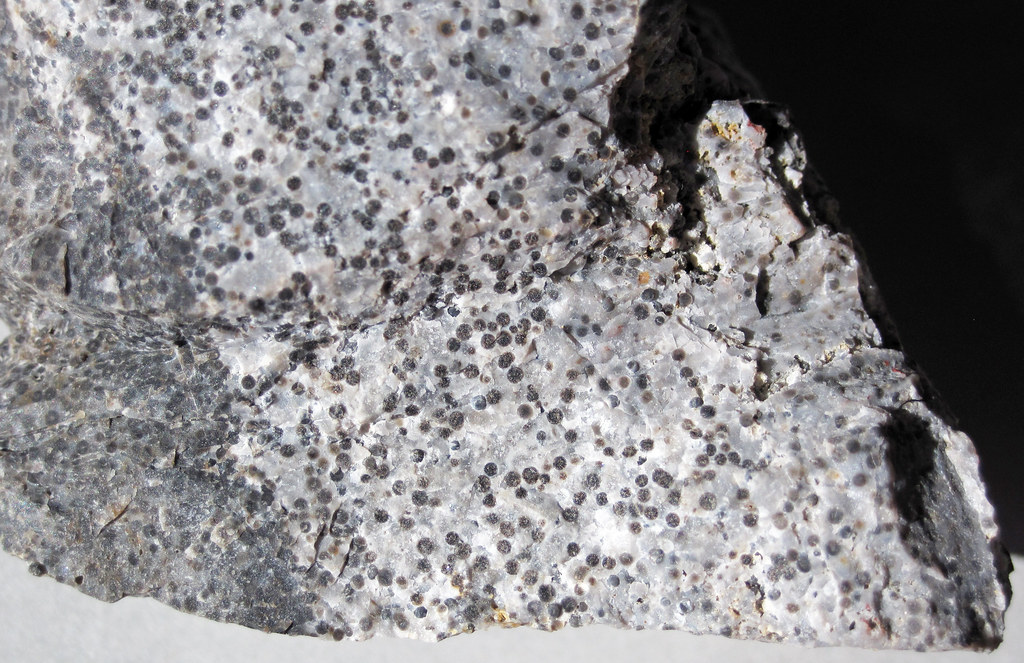 Oolitic chert (Gatesburg Formation, Upper Cambrian; State College, Pennsylvania, USA) 3