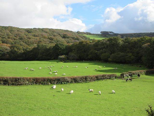 Sheepstor rural scene