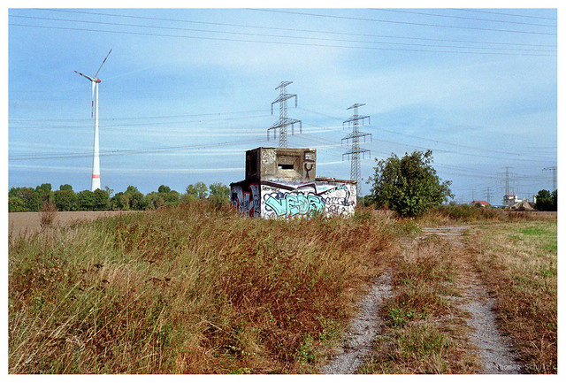 Feld, Bunker | Minox 35 GL | Kodak 200