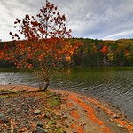 UKR_5191_0000 Autumn foliage on the RIO reservoir NY