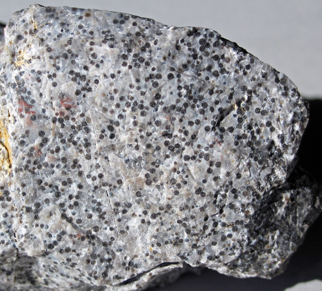 Oolitic chert (Gatesburg Formation, Upper Cambrian; State College, Pennsylvania, USA) 4
