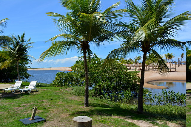 litoral  nordestino - maragogi - al - brasil