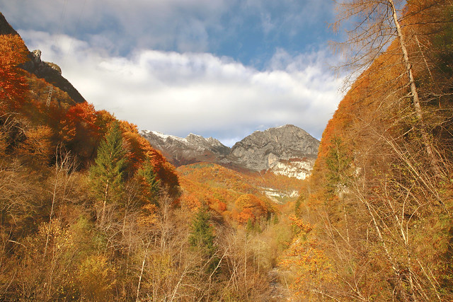 Autunno in val Cellina N°1