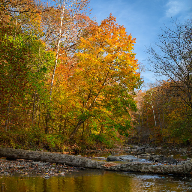 Rock Creek Autumn