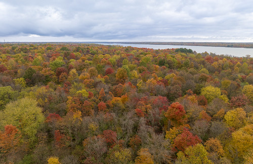 autumn fall trees river season drone mavic