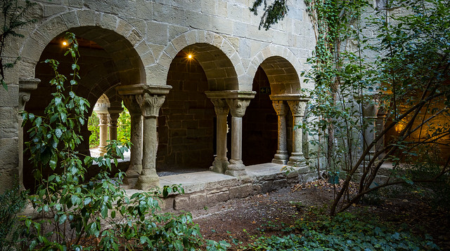 El claustre salvatge / Some wilderness in the cloister