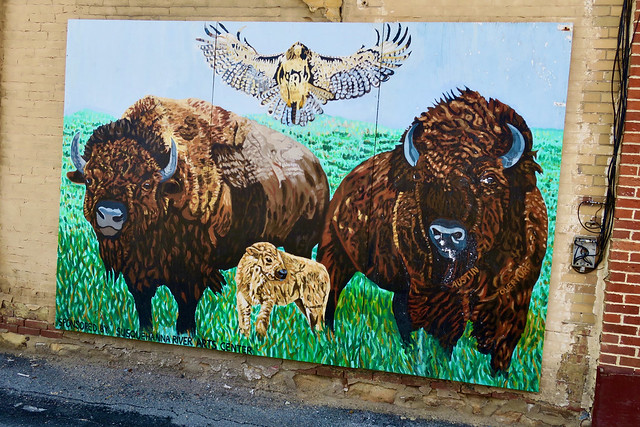 Buffalo Mural, Clearfield, PA