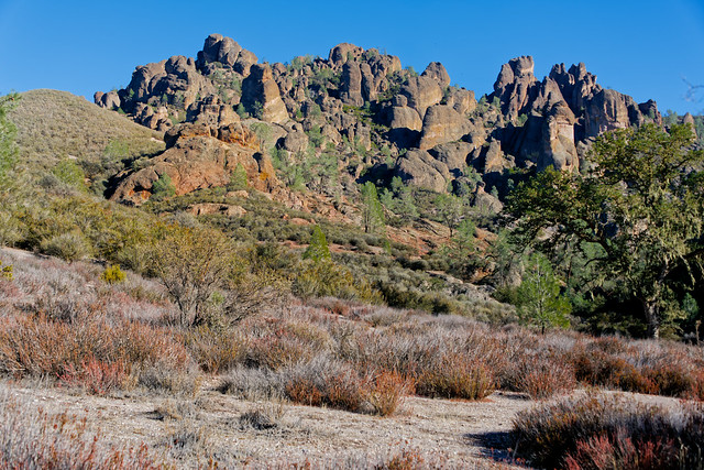 Fresh Ideas for Travel in Pinnacles National Park