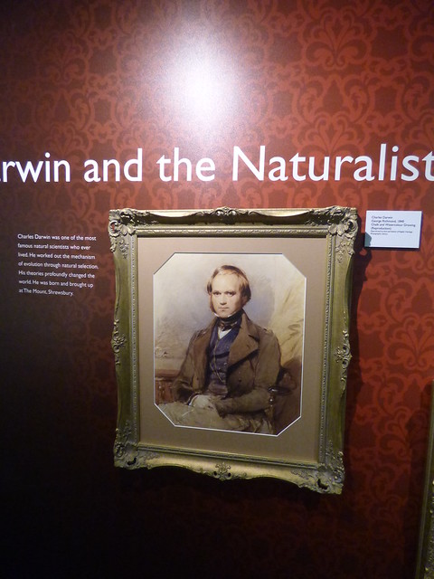The Shropshire Gallery at Shrewsbury Museum & Art Gallery - portrait of Charles Darwin
