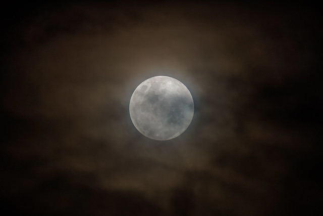 Earth's moon rising at 99 percent full with high cloud in the night sky