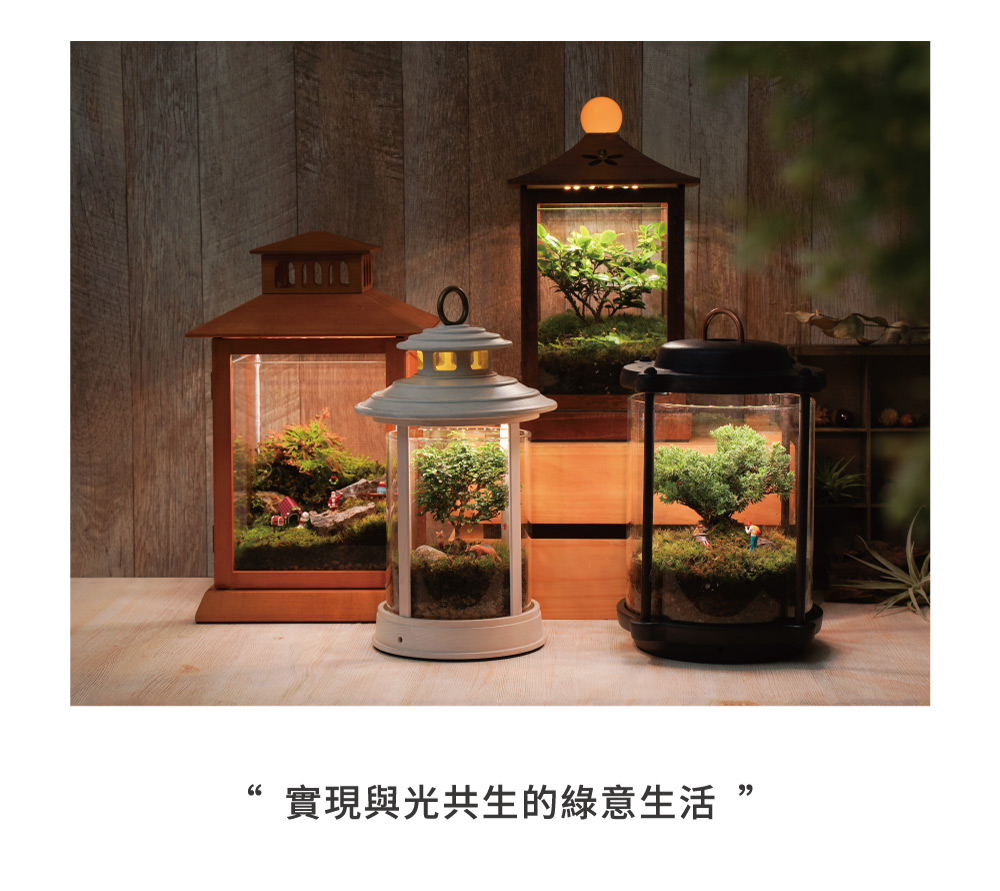 台湾 [プラントランタン] 植物の丸太は含まれていません、植物ライトの