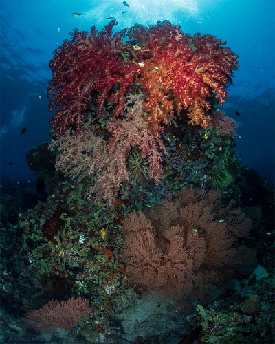 Togean Islands