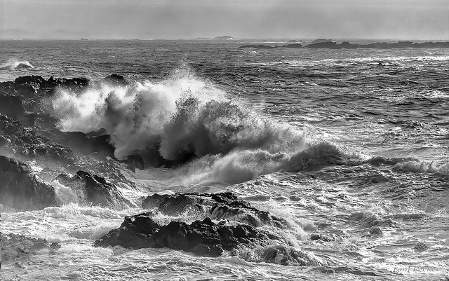 Foamy waves in turbulent seas