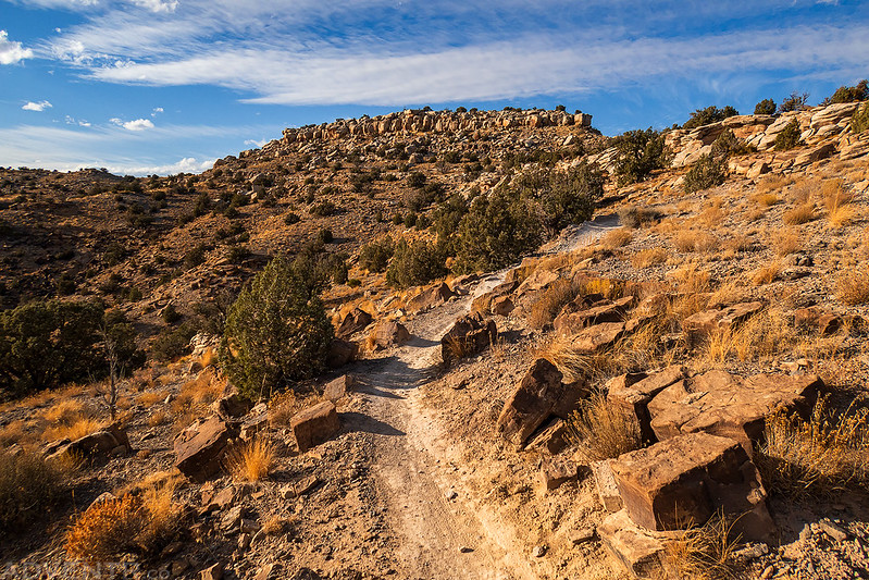 Wrangler Loop Trail