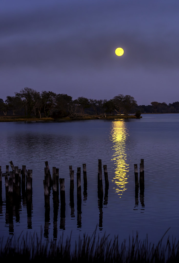 Moonrise on the Eastern Shore of Virginia.
