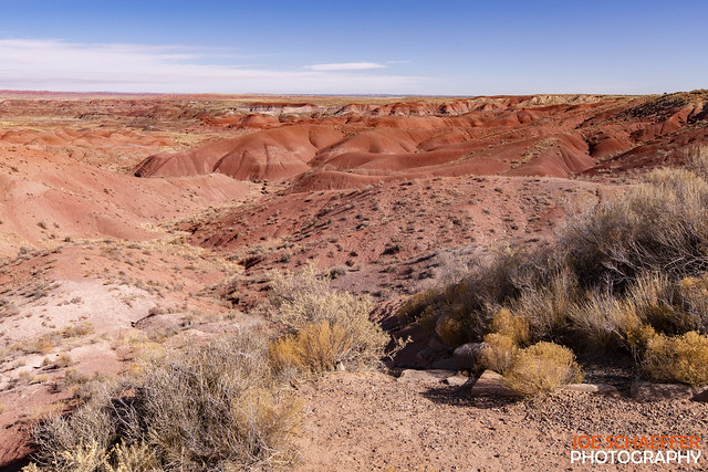 Petrified_Forest_11_06_2023-5
