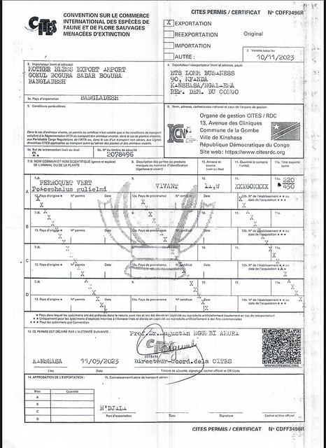 Document for export of verts used for internal trafficing of greys -- signed by the management authority of ICCN