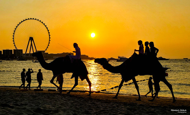 In Dubai - JBR beach sunset