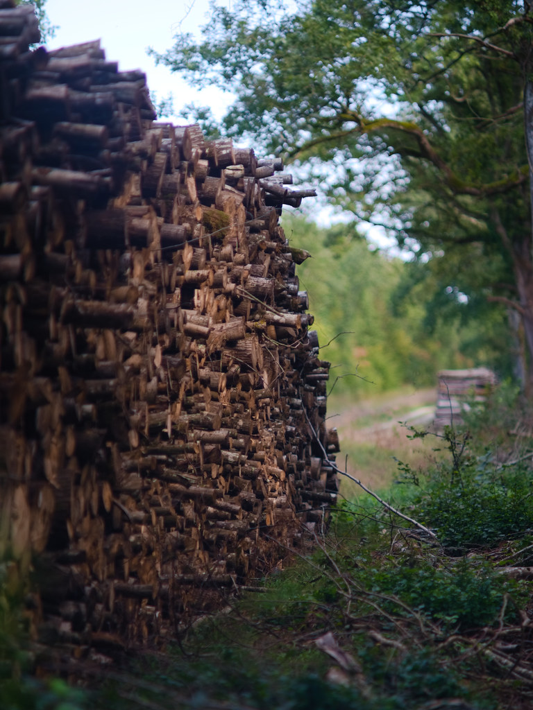 Log stack