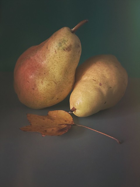 Still life with two pears