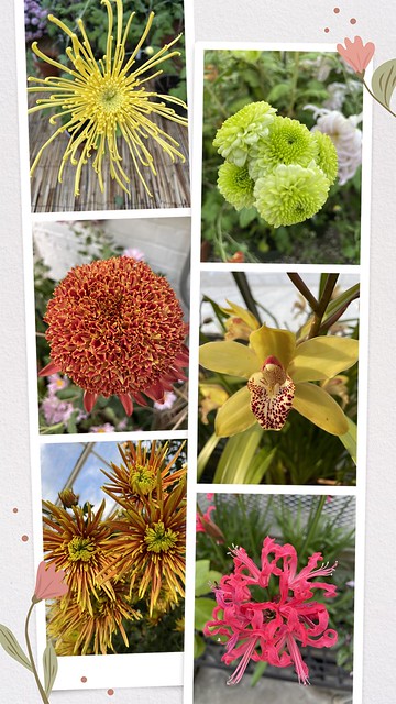 Flower Show Collage