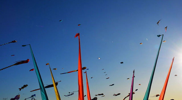 Cerfs volants /Kites France_1246