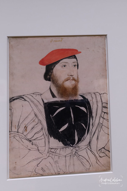 Holbein at the Tudor Court - Queens Gallery