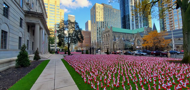 November 11th Remembrance Day display of Canadian flags at Manulife, Bloor Street East, Toronto. Thousands of Canadian flags.