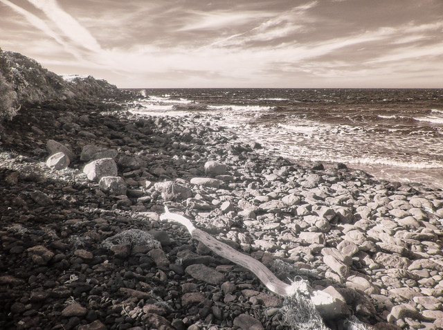 Late Afternoon, Bell Buoy Beach Rocks (Infrared)