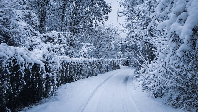Snowy pathway